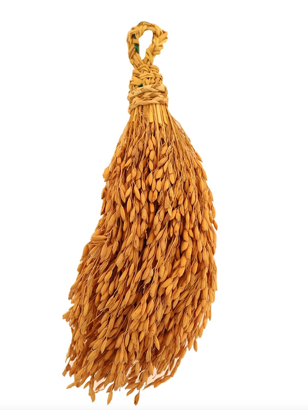 /storage/photos/1/GreenWorks/WhatsApp Image 2025-07-03 at 23.52.32.jpeg